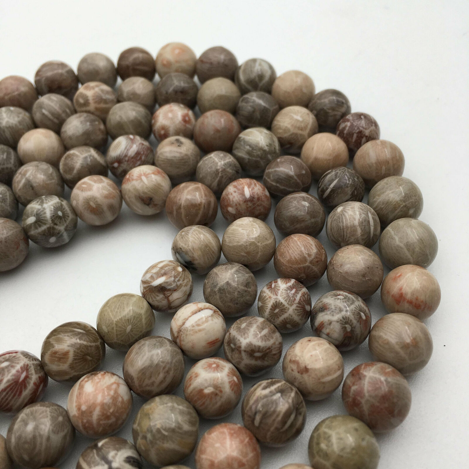 Natural Fossil Coral Smooth Round Beads 4mm 6mm 8mm 10mm 12mm 15.5" Strand